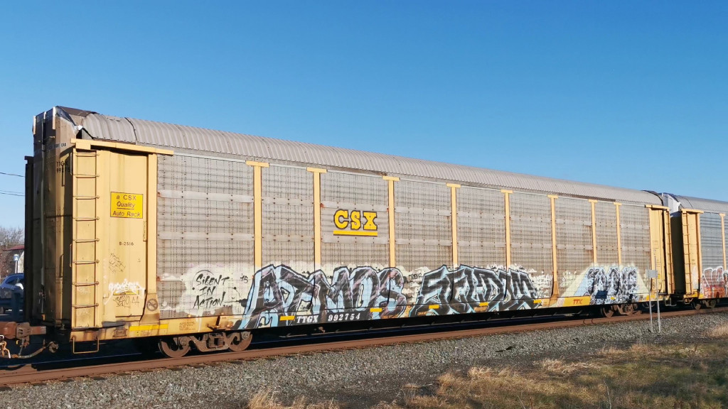 CSX B2516 (Body) TTGX 992754 (Flat)